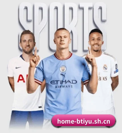 五大服务分区,信息按项目分类 - bty